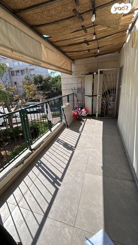 אירוס הארגמן 