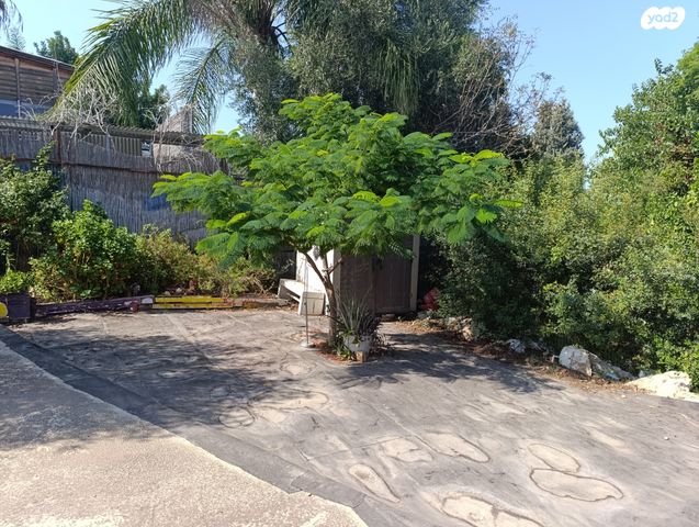 יחידת דיור, מנות