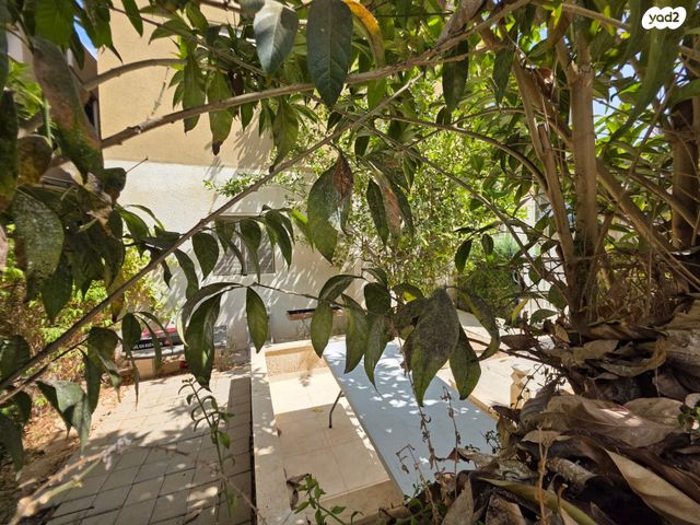 יחידת דיור, בזל, שכונה א', באר שבע