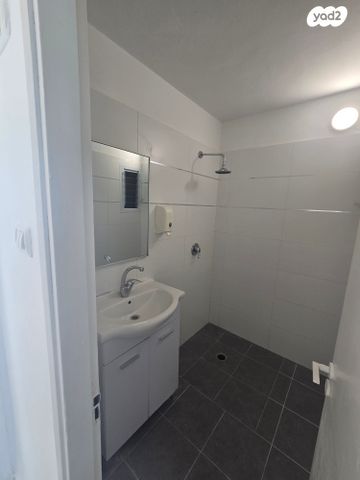 דירה, יהודה הלוי, בן גוריון, אשקלון