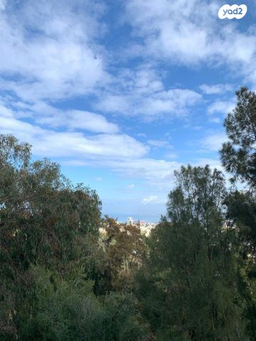 דירה, יהודה בורלא 24, רמות רמז, חיפה