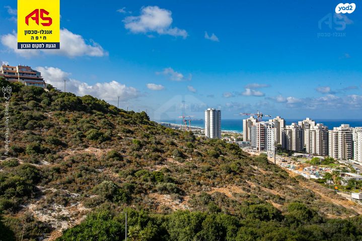 דירה, דרך הים, כרמל מערבי, חיפה