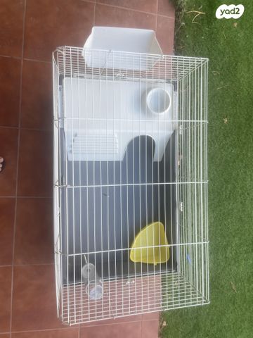 תמונת מודעה - חיות מחמד