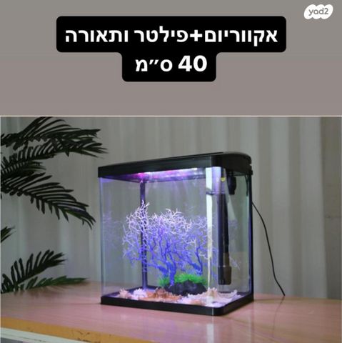 תמונת מודעה - חיות מחמד