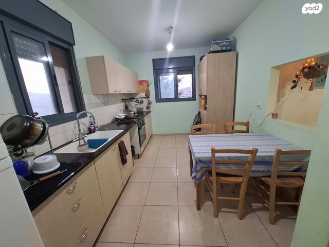 תכלת מרדכי 1