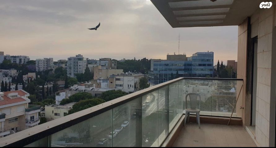 שדרות ודג'ווד 9