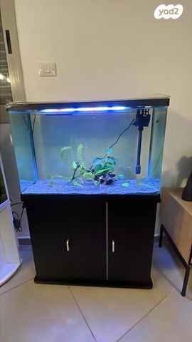 תמונת מודעה - חיות מחמד