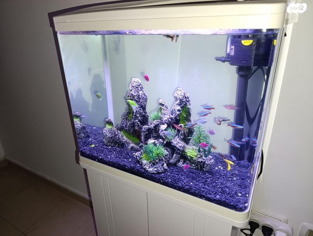 תמונת מודעה - חיות מחמד