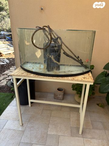 תמונת מודעה - חיות מחמד