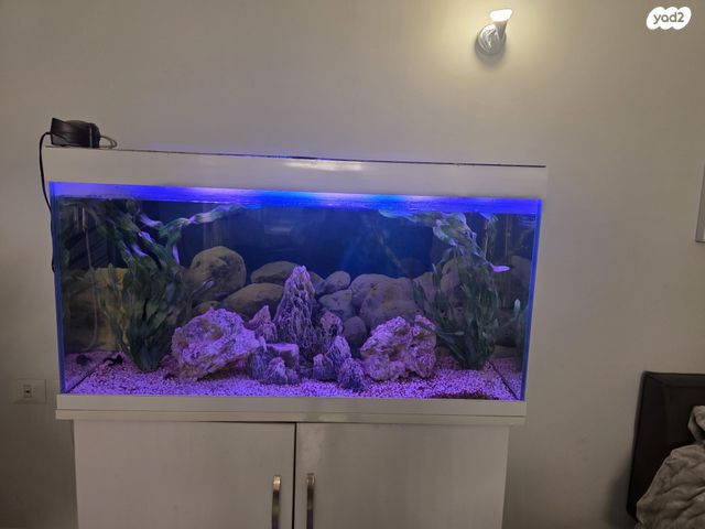 תמונת מודעה - חיות מחמד