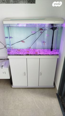 תמונת מודעה - חיות מחמד