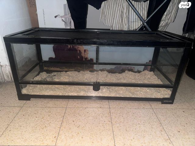 תמונת מודעה - חיות מחמד