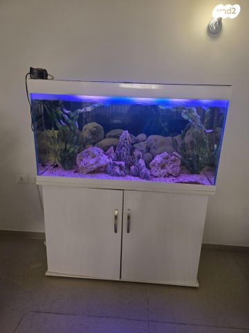 אביזרים | אקווריום