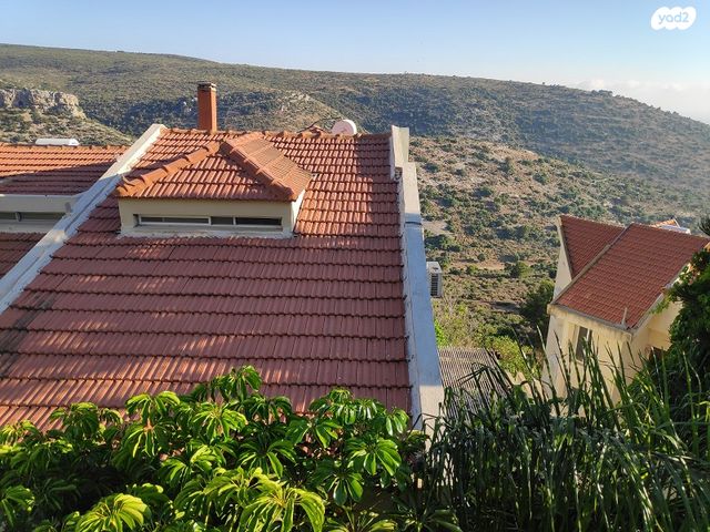 אסתר רבין 45