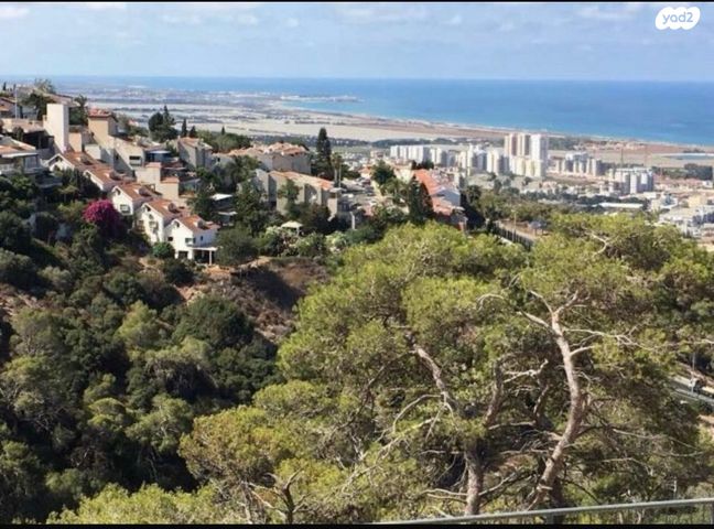 דורון מייבלום 4