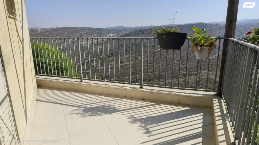 דו משפחתי, התאנה 2, נריה, טלמון