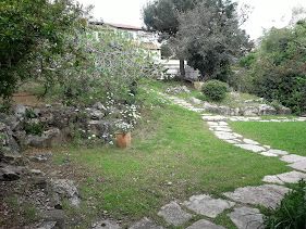 יחידת דיור, הארז 20, שאר העיר, כפר ורדים