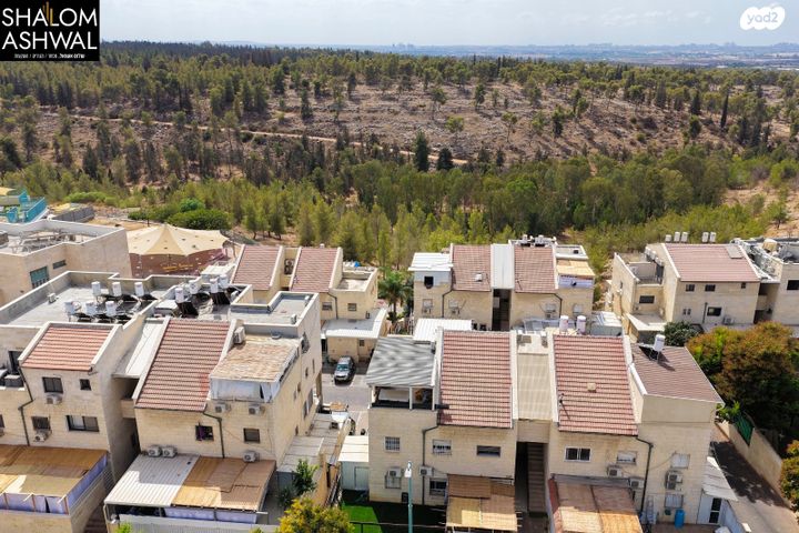 שמעון הצדיק 