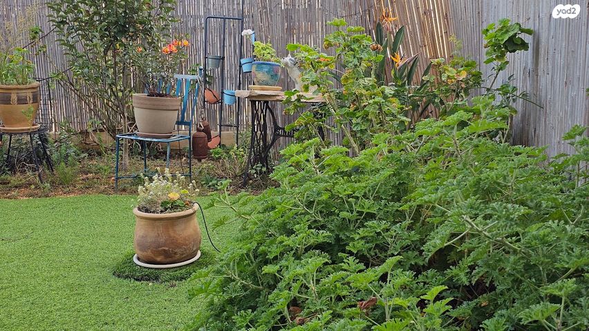 דירת גן, דרך הורדים, שאר העיר, כפר ורדים