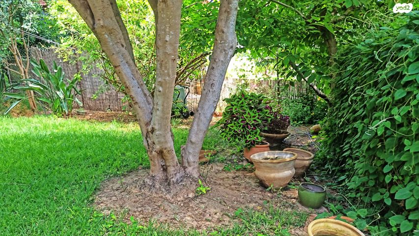 בית פרטי/ קוטג', מרכז פרדס חנה, פרדס חנה כרכור