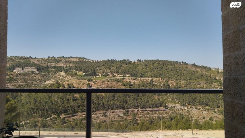 אבנר חי שאקי 