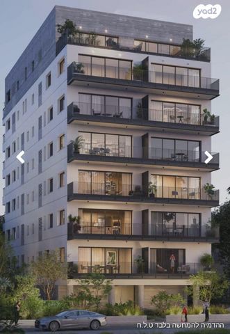 שלומציון המלכה 