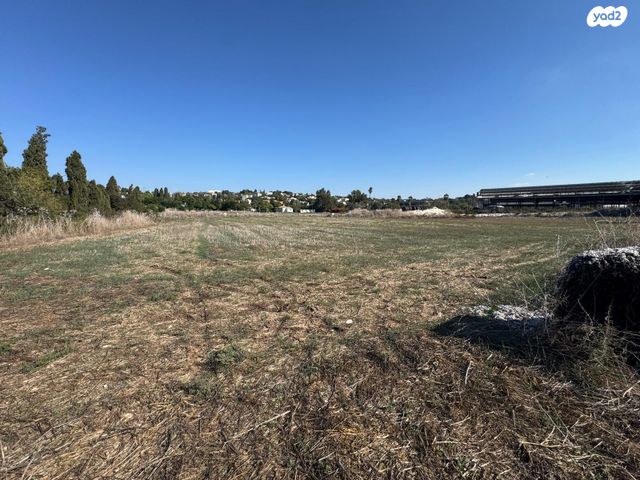 משק חקלאי/ נחלה, הפועל המזרחי, כפר חסידים א'