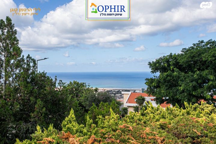 ראול ולנברג 