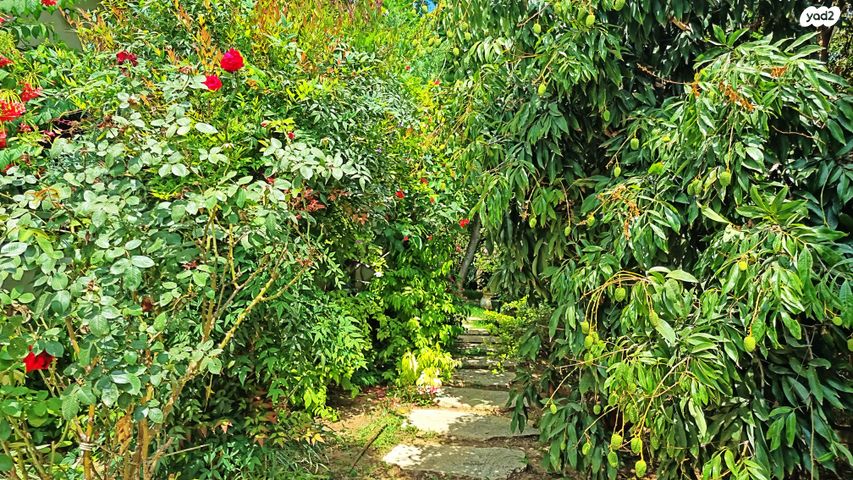 בית פרטי/ קוטג', מרכז פרדס חנה, פרדס חנה כרכור