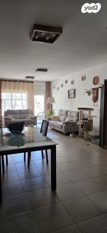 דוד טבצ'ניק 