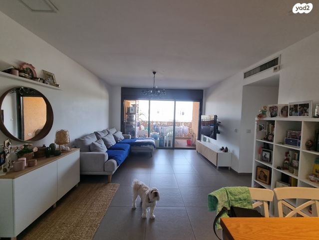 מכללת תל אביב יפו, דקר