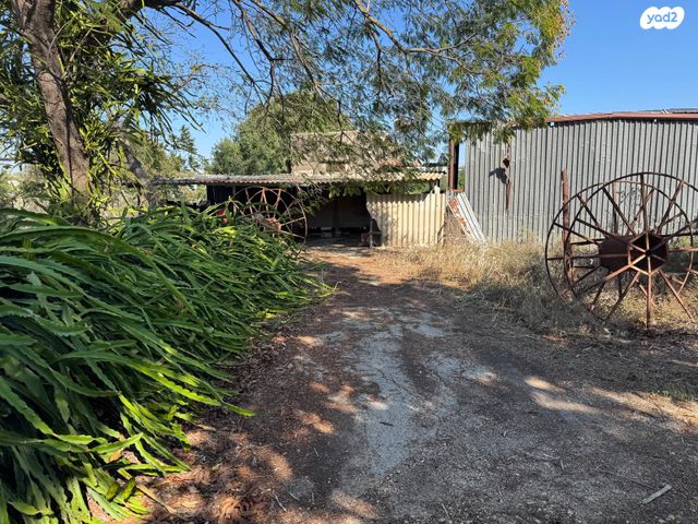 משק חקלאי/ נחלה, הפועל המזרחי, כפר חסידים א'