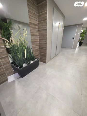 דירה, אופקים