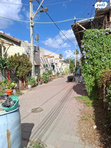 ישיבת וולוז'ין 