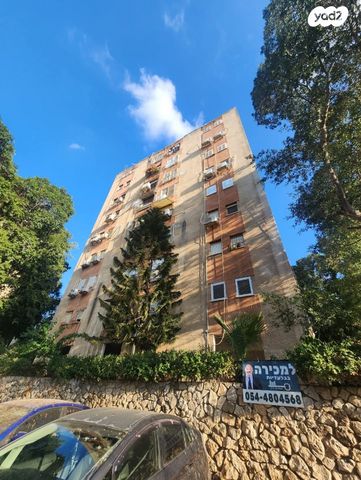 אהוד דולינסקי 