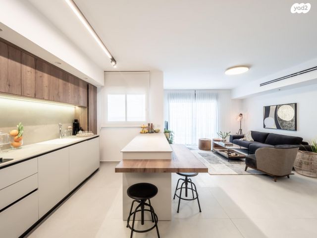 דירה, הכרמל, יבנה