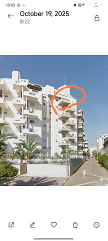 עולש מצוי 20