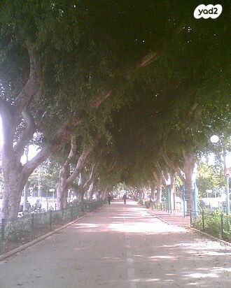 דירה, יד אליהו, תל אביב יפו