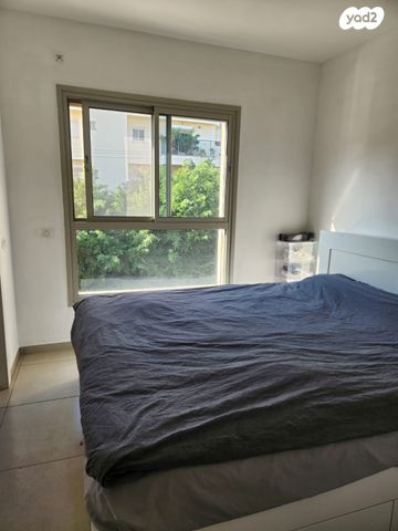 דירה, בן גוריון, כפר סבא