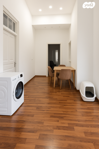 דירה, מאי, חיפה