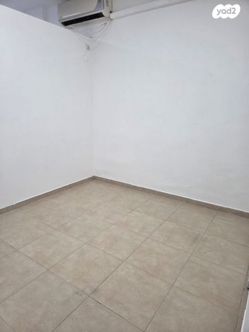 אבא ברדיצ'ב 