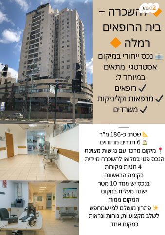 שמחה הולצברג 