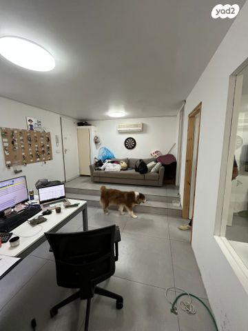 משרדים, יהושע בן נון 62, הצפון הישן - צפון, תל אביב יפו