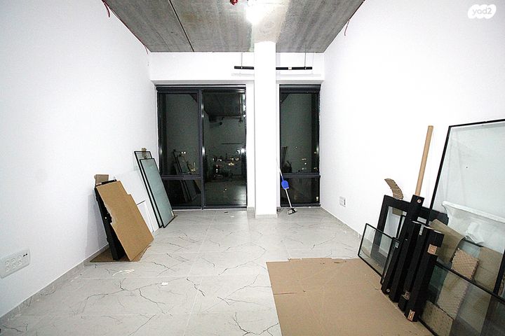 פרופ' אברהם פצ'ורניק 