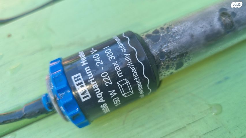 תמונת מודעה - חיות מחמד