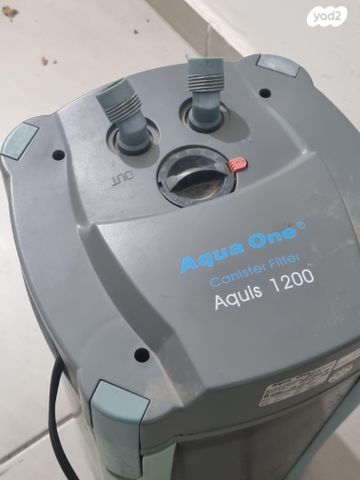 תמונת מודעה - חיות מחמד