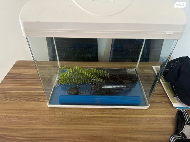 תמונת מודעה - חיות מחמד