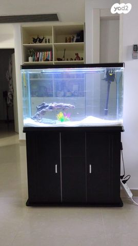 תמונת מודעה - חיות מחמד