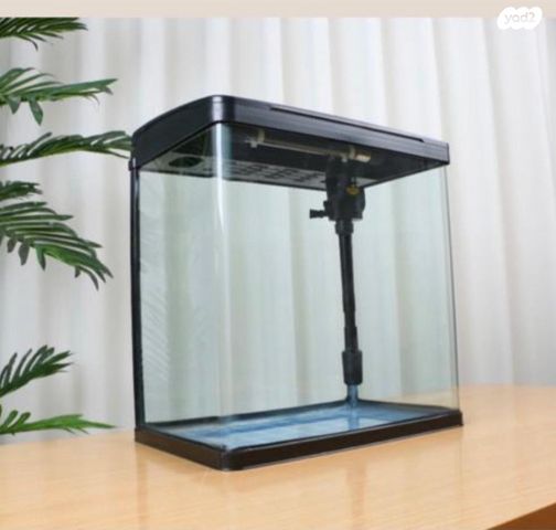 תמונת מודעה - חיות מחמד