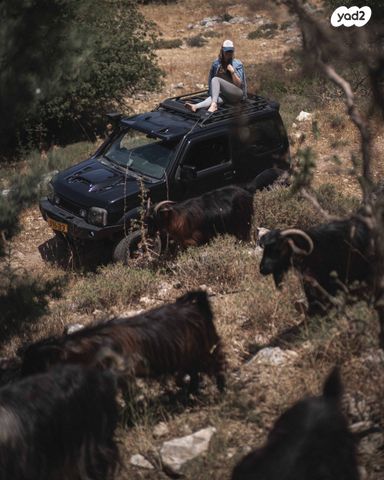 סוזוקי ג'ימני
